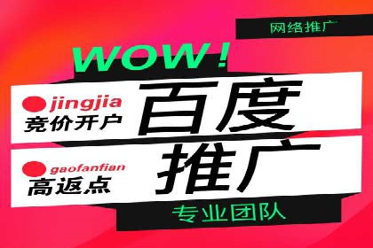 高效营销利器——百度竞价代理实操案例